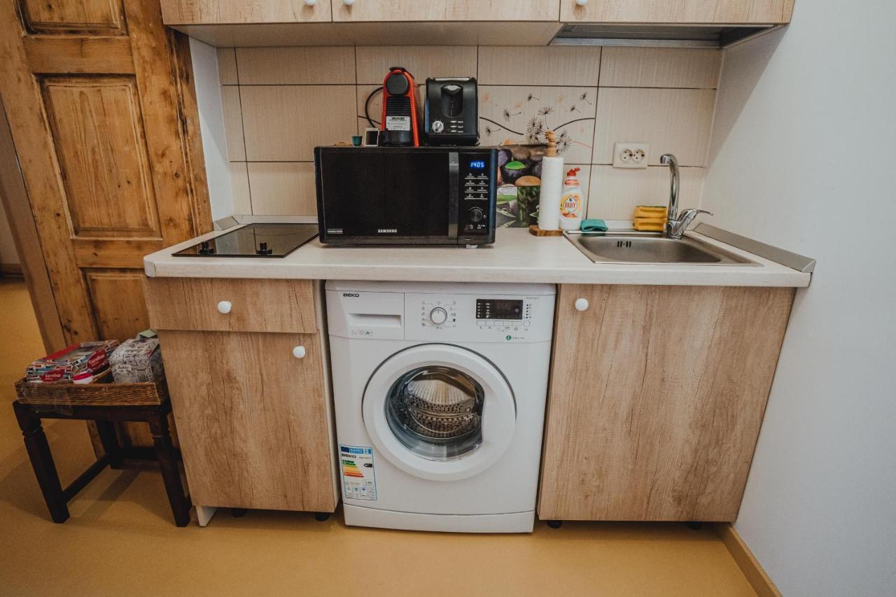 The Downtown Nest Apartment Cluj-Napoca Ngoại thất bức ảnh